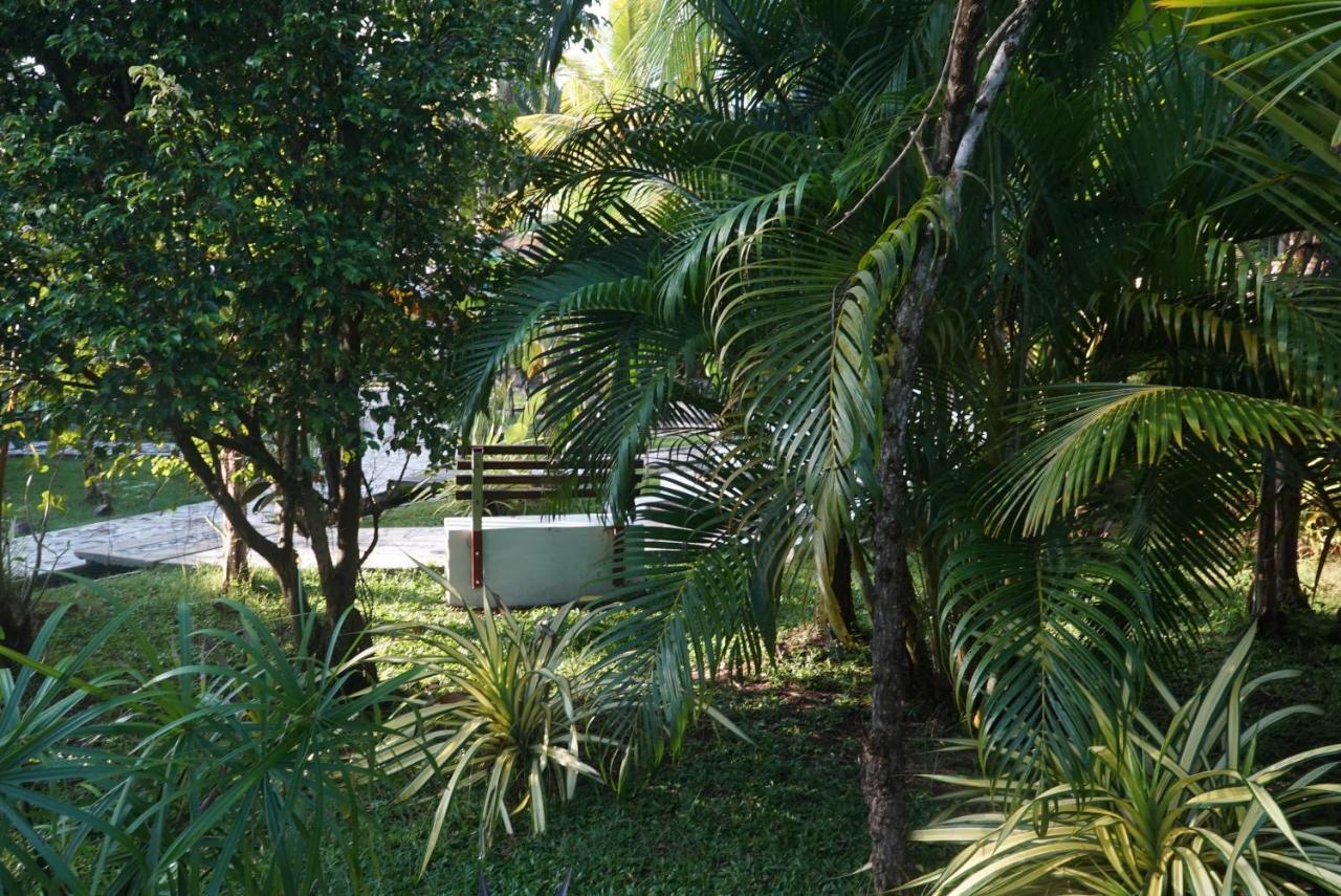 Red Coconut Villa Bentota Luaran gambar