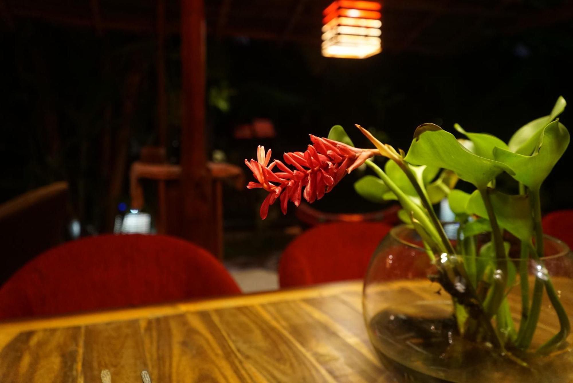 Red Coconut Villa Bentota Luaran gambar