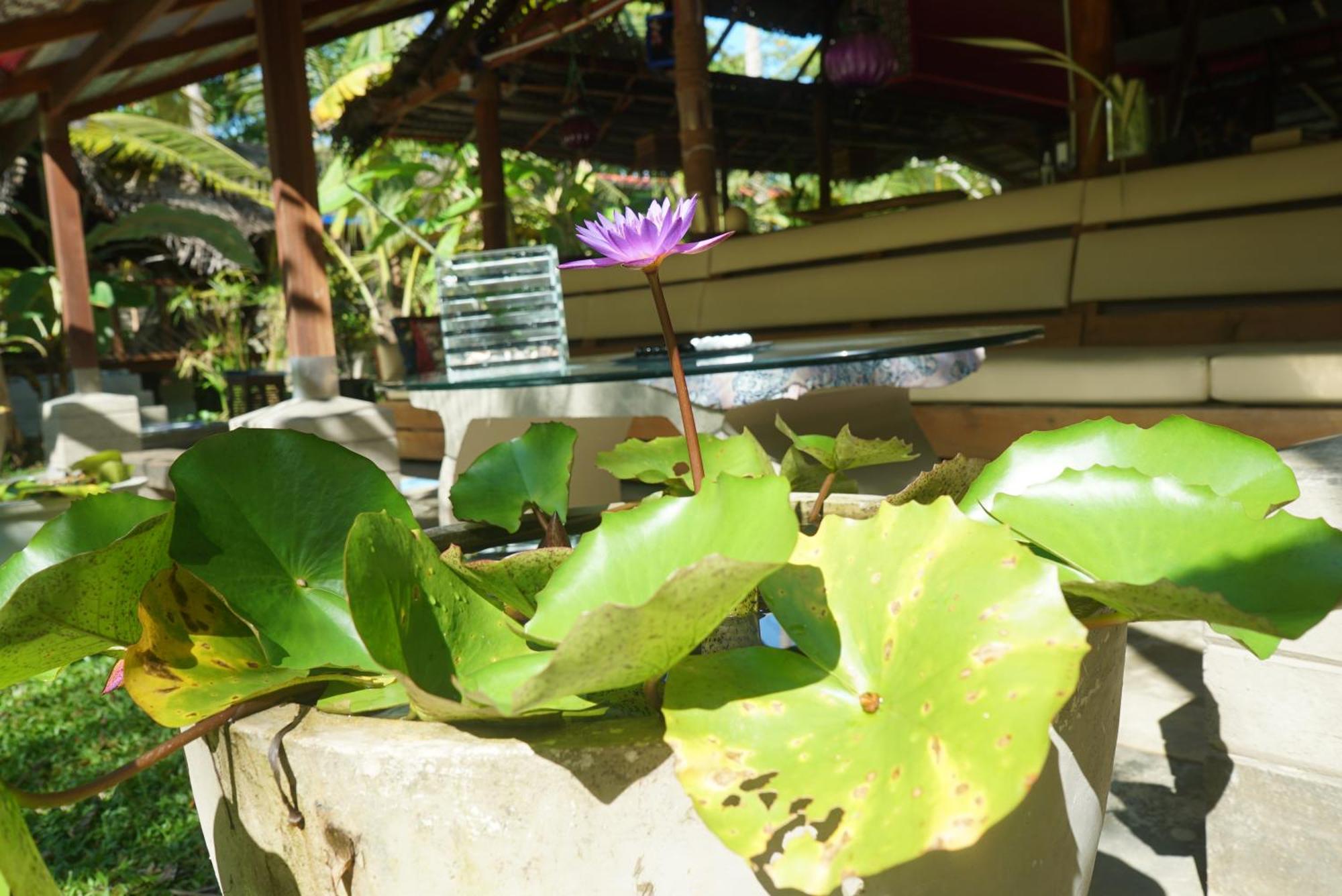 Red Coconut Villa Bentota Luaran gambar